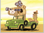Safari